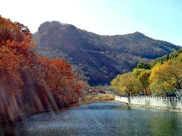 管家婆黑白马报图库，氧化铜价格